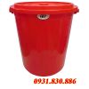Thùng 60 lít có nắp